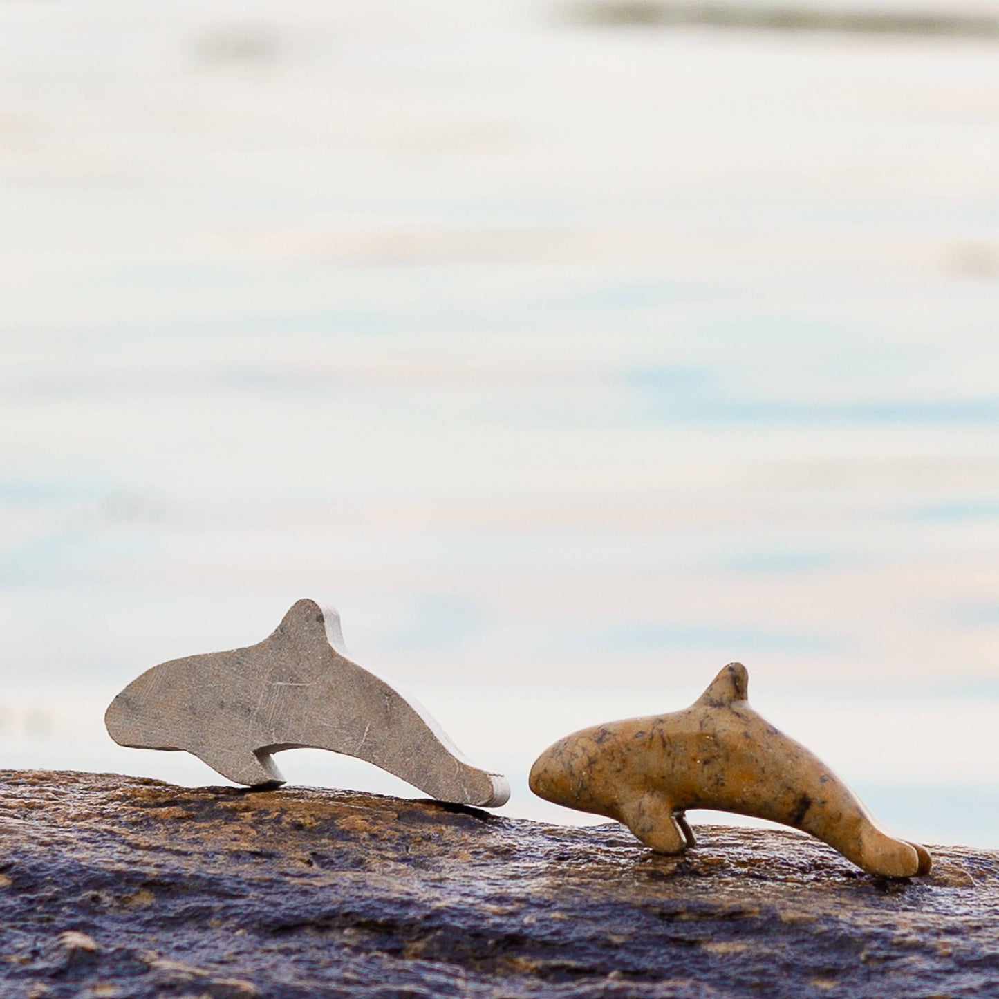 Orca Soapstone Carving and Whittling